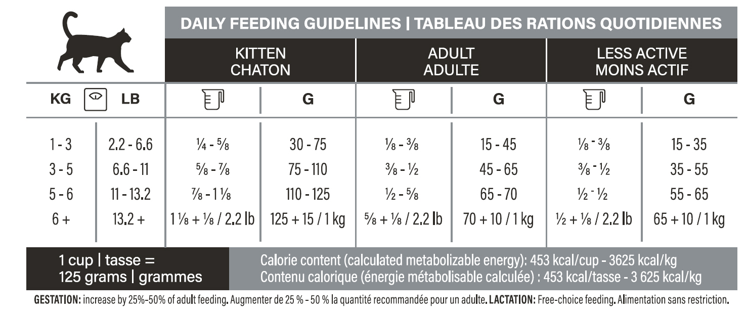 Tableau des rations quotidiennes pour chats - recette dinde